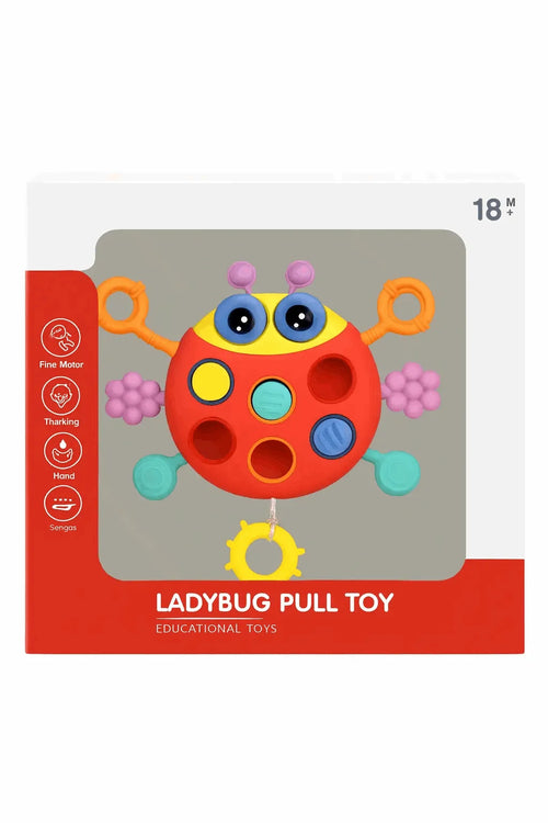 Ladybug Pull Toy – Fun, Learning and Teething Relief Shopzek
