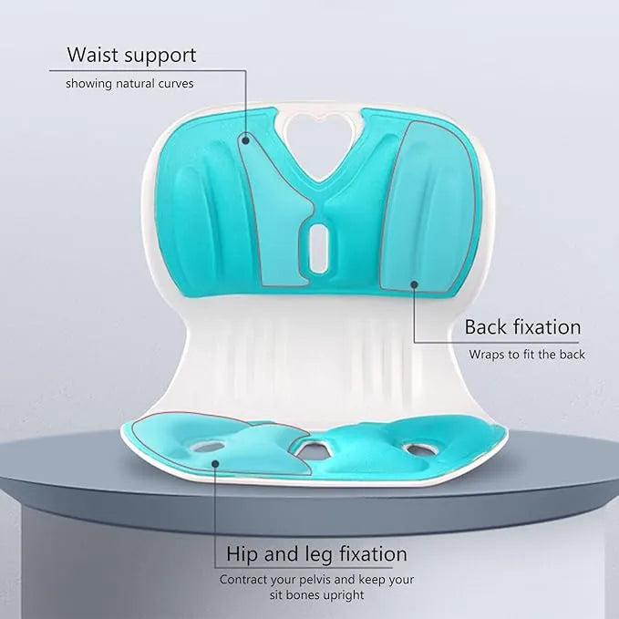 Ergonomic Comfort Back Support II lumber Body Support
